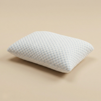 Hoofdkussen - CloudAir - NanoTech - Voor Rug & Zijslaper - NanoTech Memory Foam - Dekbed-Discounter.nl