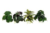 Countryfield kunstplant hang h20cm