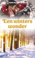 Een winters wonder - Cara Summers - ebook