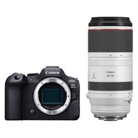Canon EOS R6 Mark II systeemcamera + RF 100-500mm f/4.5-7.1L IS USM