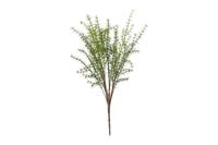 Decostar Countryfield Kunstblad Asparagus Moogri S groen