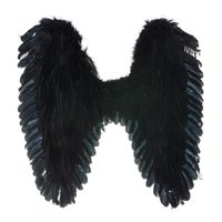 Zwarte vleugels met veren 65 x 60 cm groot - thumbnail