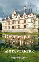 Gevaarlijke erfenis - Anita Verkerk - ebook - thumbnail