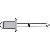 Gesipa 1433505 Popnagel (Ø x l) 5 mm x 25 mm Staal Aluminium 250 stuk(s)