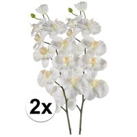 2x Witte Orchidee kunstbloemen tak 100 cm - thumbnail