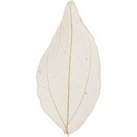 Creativ Company Skeleton leaves , l: 4,5-8 cm, naturel, 20 stuk/ 1 doos