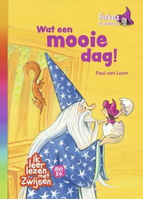 Foeksia de miniheks - Wat een mooie dag! (Hardback)