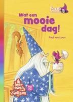 Foeksia de miniheks - Wat een mooie dag! (Hardback)