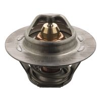 Thermostaat 17694