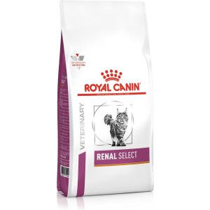 Royal Canin Renal Select droogvoer voor kat 4 kg Volwassen