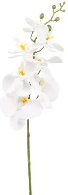 Emerald kunsttak phalaenopsis 84cm wit