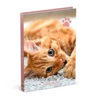 Schoolagenda 25-26 Lannoo Cats 1dag/1pagina roze