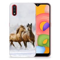 Samsung Galaxy A01 | TPU Hoesje | Paarden