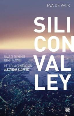 Silicon valley (Paperback)