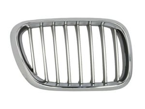Radiateurgrille 6502070095992P
