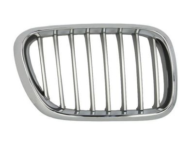 Radiateurgrille 6502070095992P