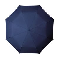 miniMAX Opvouwbare Paraplu met Handopening Ø 100 cm Blauw - thumbnail