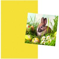 Pasen tafel dekken decoratie set - geel tafelkleed 138 x 220 cm - en 20x paas thema servetten