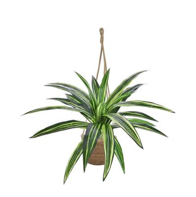 Draceana Massangeana kunstplant 40cm - groen
