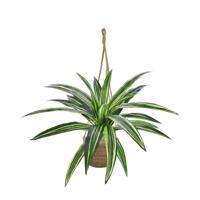 Draceana Massangeana kunstplant 40cm - groen