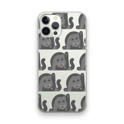 Cats: iPhone 12 Pro Transparant Hoesje