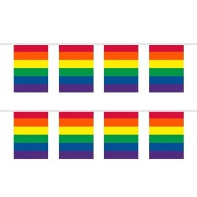 Regenboog vlaggenlijn - 2x - 10 meter - plastic - vierkante vlaggetjes - Gay pride versiering