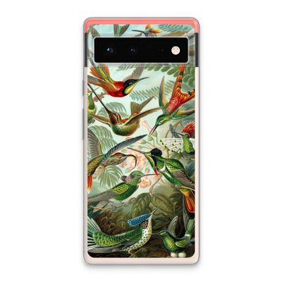 Haeckel Trochilidae: Google Pixel 6 Transparant Hoesje