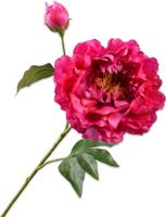 Kunsttak pioenroos beauty - 79 cm - Hortus