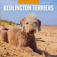 Bedlington Terrier Kalender 2026