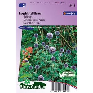 Echinops Ritro zaden Kogeldistel Blauw