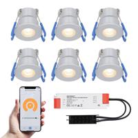 Set van 6 Milano Smart LED Mini Inbouwspots - Veranda spots - 12V 3W 200lm - Dimbaar - Wifi & Bluetooth - 2700K - IP65 waterdicht - RVS