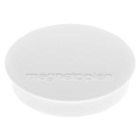 Magnetoplan Magneet Discofix Standard (Ø x h) 30 mm x 8 mm Rond Wit 10 stuk(s) 1664200