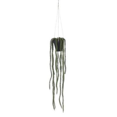Rhipsalis hangend in pot groen - l62xd9cm - Mica decorations