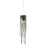 Rhipsalis hangend in pot groen - l62xd9cm - Mica decorations