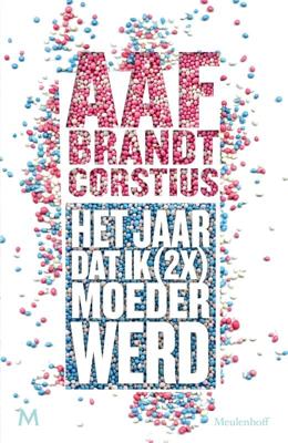 Het jaar dat ik (2x) keer moeder werd (Paperback)