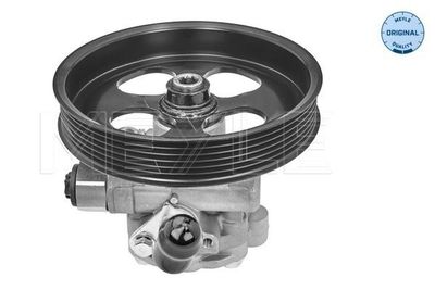 Servo pomp 32146310000