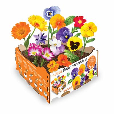 Kweekset Batlle Blommor Eetbaar 19 x 19 x 10 cm