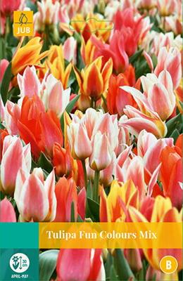 Tulipa Fun Colours, 5 bloembollen - Jub
