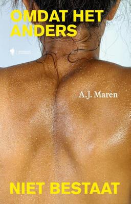 Omdat het anders niet bestaat (Paperback)