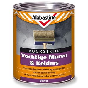 Alabastine Voorst Vochtige Muren En Keld 1L 6025801 - 5096053 - 5096053