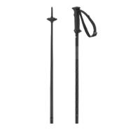 Salomon Poles polar access Black Ski Stokken 130