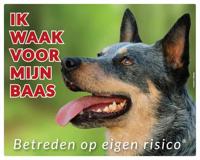 Australian Cattle Dog Waakbord