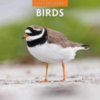 Vogels Kalender 2027