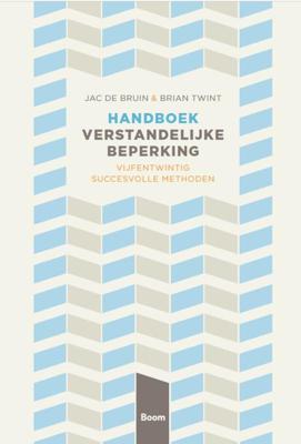 Handboek verstandelijke beperking (Paperback)