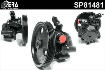 Stuurpomp SP81481