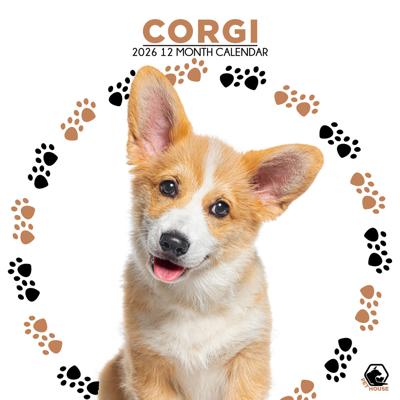 Welsh Corgi Kalender 2026