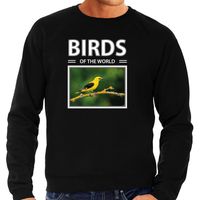 Wielewaal vogels sweater / trui met dieren foto birds of the world zwart voor heren - thumbnail