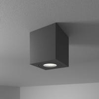 Gibbon LED Opbouwspot - Viekant - 5 Watt 400 lumen - 6000K Daglicht wit - GU10 - IP65 Badkamer Opbouwspot - Voor binnen en buitengebruik - Zwart
