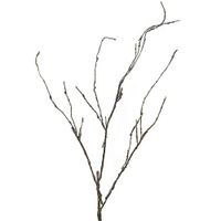 Wood Twig Cordata 95 cm kunsttak - Nova Nature - thumbnail