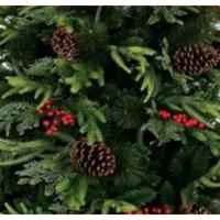 Kerstboom Home ESPRIT Rood Groen PVC